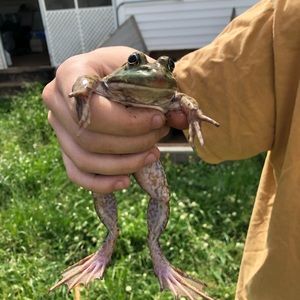 Meet your Posher, Avery